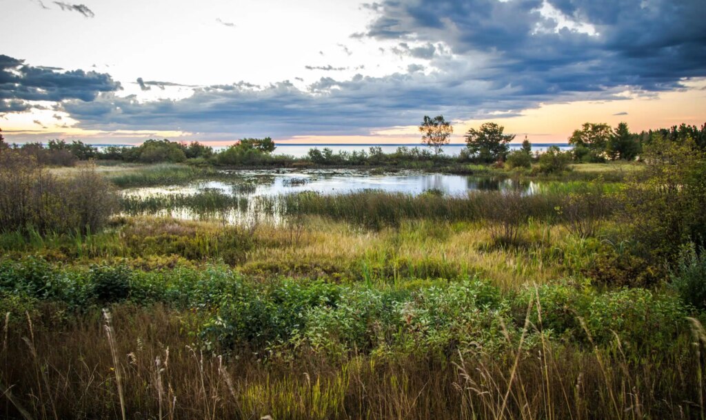 US Wetlands
